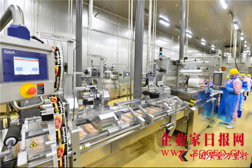 雙匯發(fā)展 完善產(chǎn)業(yè)布局，增強(qiáng)核心競(jìng)爭(zhēng)力，攜手鄭州軟件推動(dòng)產(chǎn)業(yè)升級(jí)